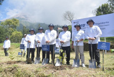 Telkom Tanam 500 Pohon di Lereng Merapi untuk Perkuat Hulu Sleman dan Kurangi Risiko Longsor