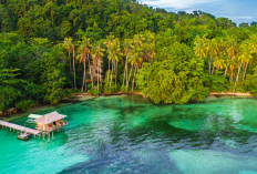 Pantai Bercak Pacitan, Surga Tropis Eksotis Ala Raja Ampat yang Tenang dan Instagramable