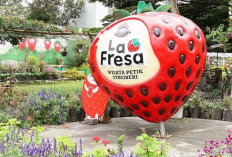 Menjelajahi Wajah Baru Destinasi Wisata Bandung Paling Viral dan Ikonik, Berikut Informasi Selengkapnya