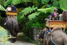 Liburan Keluarga ke Tasta Zoo Bali, Kebun Binatang Ramah Lingkungan dengan Satwa Langka