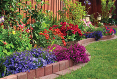 Pilihan Dessert Viral di Blok M Jakarta Selatan Dari Donat Hits Hingga Cheese Tart Lumer!