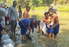 Prihatin Ikan Lokal Makin Sulit Ditemukan, Pemkab Bantul Inisiasi Suaka Perikanan Berbasis Masyarakat