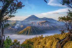 Ini Destinasi Wisata Alam Terindah di Jawa Timur yang Paling Spektakuler
