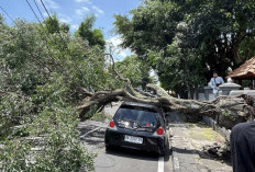 Angin Kencang Landa DIY, 68 Titik di Sleman Terdampak