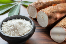 Mengenal Tepung Mocaf sebagai Alternatif Gluten-Free yang Lebih Sehat dan Berkelanjutan