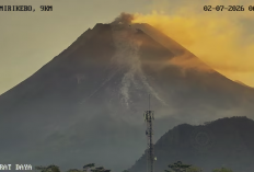 Merapi Erupsi Lagi Hari Ini, BPPTKG Catat Awan Panas Guguran Sejauh 1,7 Kilometer