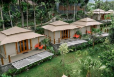 Alternatif Pilihan Glamping Terbaik di Bogor untuk Liburan Akhir Tahun, Cek Referensi Lengkapnya Disini