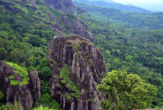 Tren Pendakian Tektok 2026 Jadi Keajaiban Geologi Gunung Api Purba Nglanggeran