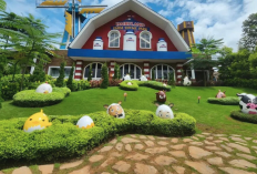 Berburu Wisata Murah di Bogor Dairyland Puncak Hadirkan Potongan Harga Tiket 23 Persen 
