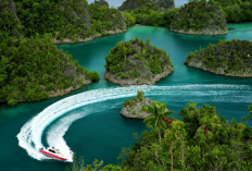 Menjemput Ketenangan di Raja Ampat untuk Menjelajahi Jantung Terumbu Karang Dunia