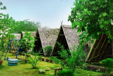 Ragam Aktivitas Seru di Kawasan Wisata Gunung Dago Bogor