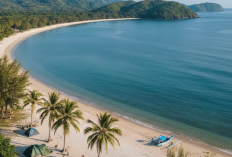 Surga Bahari Tersembunyi di Pantai Mutiara Trenggalek dengan Air Laut Jernih dan Tenang