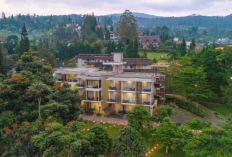 Bersatu dengan Alam, Menikmati Sejuknya Penginapan Eksklusif di Lembang
