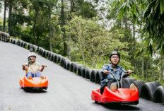 Healing Murah ke Go Luge Puncak Jakarta Jadi pilihan Tepat