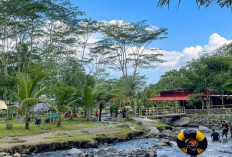 Rekomendasi Spot Piknik Keluarga Terbaik di Yogyakarta untuk Libur Lebaran