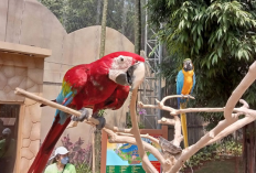 Menjelajahi Destinasi Wisata Edukasi Terpadu di Jakarta, Simak Referensi Lengkapnya Berikut Ini