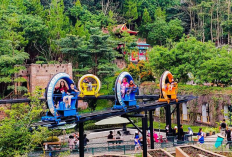 Destinasi Favorit dan Hits di Bandung untuk Menikmati Tahun Baru Lebih Seru