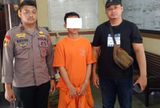 Pura-pura Lamar Kerja, Pemuda Asal Garut Gasak HP Pemilik Warung di Jetis