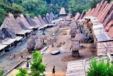 Permata Budaya di Jantung Flores, Yuk Eksplorasi Keindahan Sepuluh Desa Adat, Cek Info Lengkapnya Berikut Ini