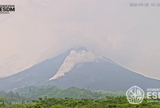 Merapi Keluarkan APG Usai Hujan Deras, BPPTKG Keluarkan Peringatan Bahaya Lahar