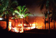 Kandang Berisi 20.000 Anak Ayam di Kulon Progo Ludes Terbakar, Polisi Selidiki Penyebabnya