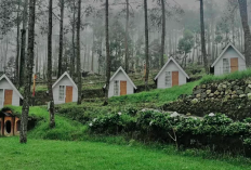 Destinasi Favorit Liburan Sekolah, Berikut Harga Tiket Masuk The Lawu Park Tawangmangu
