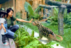 Liburan ke Jogja dari Solo, Rencana Perjalanan ke Gembira Loka 
