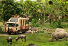 Destinasi Liburan Keluarga Paling Aman dan Edukatif Menurut Pemerintah, Cek Info Selengkapnya