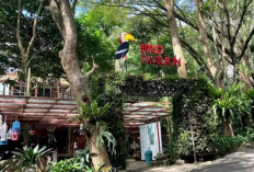 Liburan Lebih Berkesan, Berikut Spot Terbaik untuk Healing dan Nongkrong Estetik di Dago Bandung