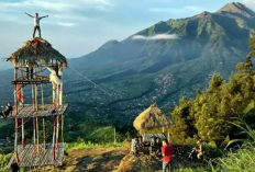 Menjelajahi Pesona Alam Memukau 