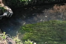 Kronologi Bocah TK Tenggelam di Sungai Winongo Kecil Bantul Usai Salat Zuhur