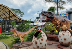 Suraloka Interactive Zoo Jadi Destinasi Wisata Keluarga Paling Sejuk dan Edukatif di Sleman 