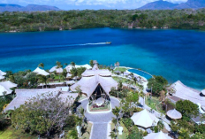 Bahaya Tersembunyi di Balik Keasrian Taman Nasional Bali Barat, Cek Info Selengkapnya Disini