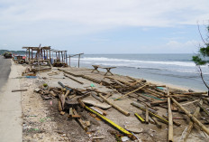 109 Pedagang Bongkar Kios di Pantai Sepanjang, Penataan Kawasan Segera Dimulai