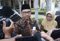 Ada 32 Daycare Belum Berizin di Jogja, Hasto: Harus Tutup Sementara dan Urus Izin 