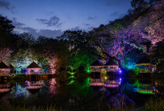 Safari Vibes Solo Safari, Sensasi Wisata Malam Magis yang Wajib Kunjungi di Tahun 2026
