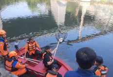 Temukan Banyak Sampah Nyangkut di Sungai Gajahwong, Wali Kota Hasto Minta Warga Stop Buang Sampah ke Sungai