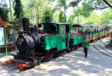 Pilihan Destinasi Wisata Kids Friendly di Karanganyar jadi Surga Liburan dengan Wahana Edukatif