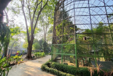 Liburan Hemat Keluarga di Surabaya yang Murah dan Ramah Anak, Ada Taman Flora Bratang