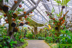 Rekomendasi Healing Lewat Destinasi Wisata Terindah Penyejuk Pikiran di Bogor