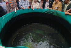Ikan Asing Invasif Jadi Ancaman Ikan Lokal, DKP Kabupaten Bantul Perkuat Pengawasan