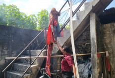 Gas Hidrogen Diduga Jadi Pemicu Api Misterius di Seyegan, BPBD Siapkan Opsi Status Darurat Khusus