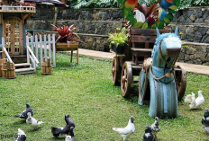 Rekomendasi Daftar Destinasi Wisata Alam, Edukasi Sampai Kuliner Bareng Keluarga, Simak Ulasan Lengkapnya