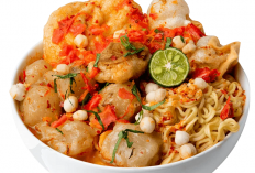 Rahasia Kuah Gurih Pedas Bakso Aci Tulang Rangu cocok Untuk Ide Bisnis Kuliner