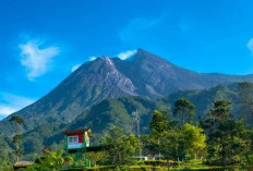 Delapan Tahun Mati Suri, Warga Lereng Merapi Berharap Buka Kembali Jalur Pendakian Secara Terbatas
