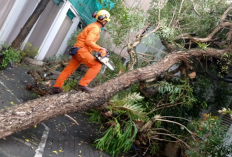 Cuaca Yogyakarta Tak Menentu, Masyarakat Diminta Waspada Banjir dan Angin Kencang