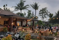 Dari Angkringan Mewah hingga Sate Eksotis di Jogja Jadi Destinasi Kuliner Pilihan