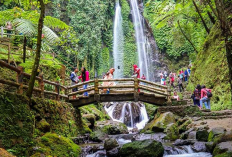 Eksplorasi Air Terjun Jumog Jadi Surga Tersembunyi Paling Memukau di Karanganyar, Simak Ulasan Lengkapnya
