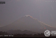 Awan Panas Guguran Merapi Kembali Meluncur 2 Kilometer ke Arah Kali Boyong 