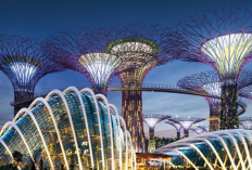 Tempat Wisata di Singapura yang Cocok untuk Semua Usia Paling Seru dan Berkesan 